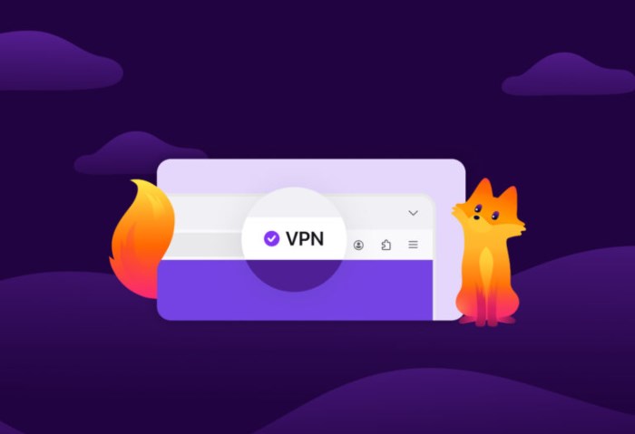 VPN 