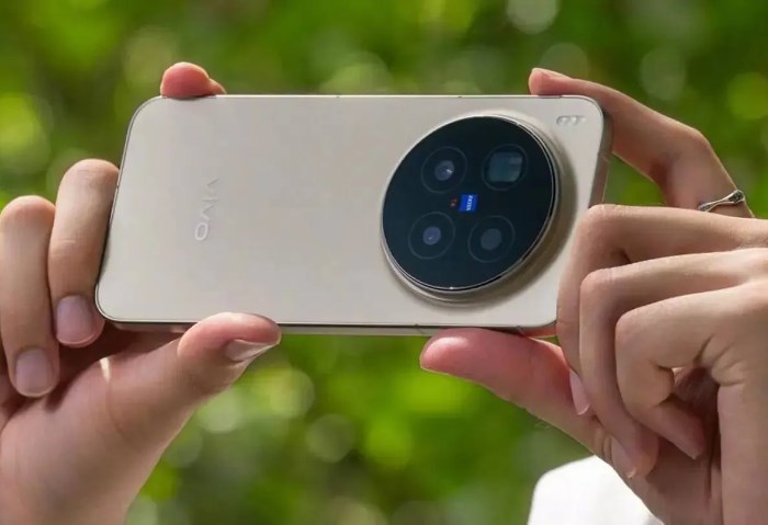 Vivo X300 Pro (Satellite Edition)