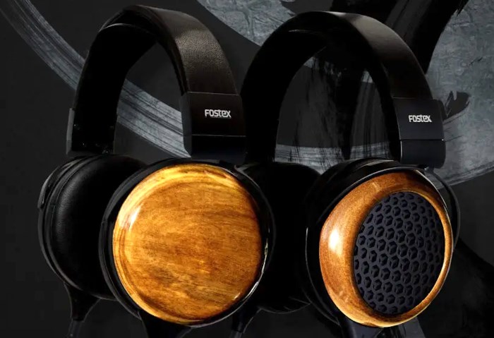 Fostex TH810