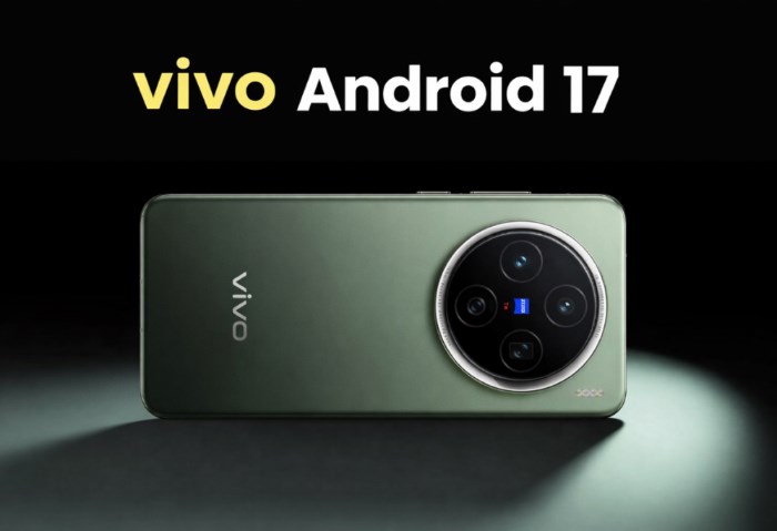 Vivo