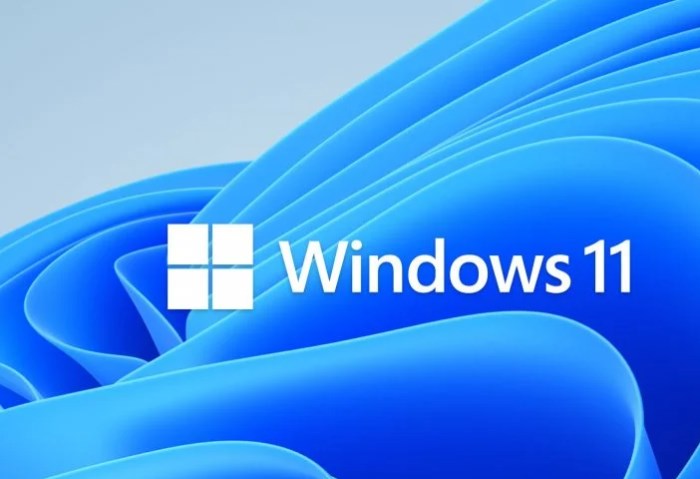 Windows 11