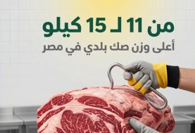 الأضاحي 