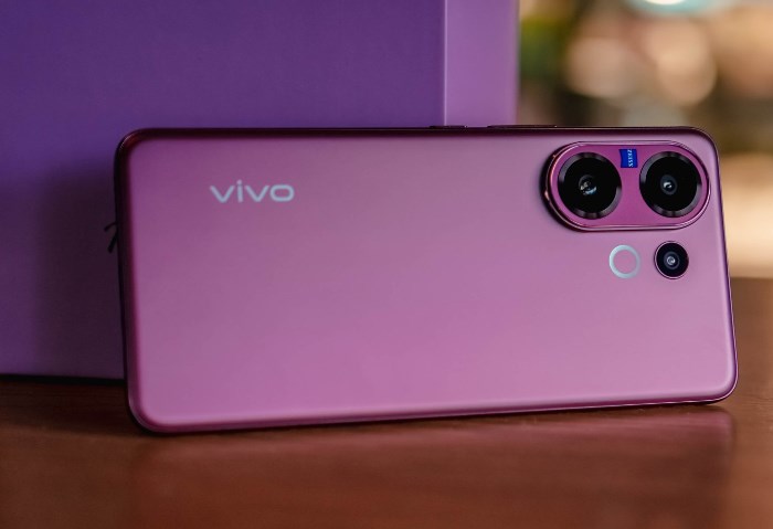 Vivo V60 Pro