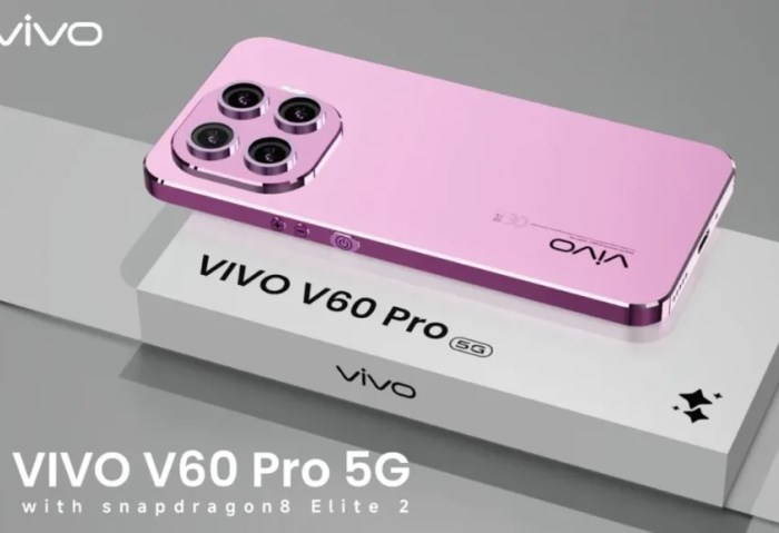 Vivo V60 Pro