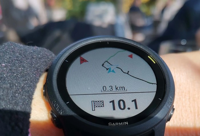 Garmin smartwatch