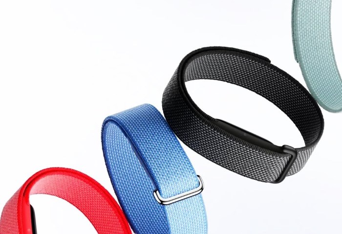 Fitbit Air