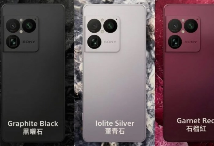 Sony Xperia 1 VIII