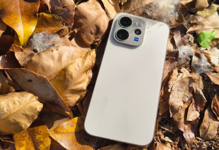 Vivo V70