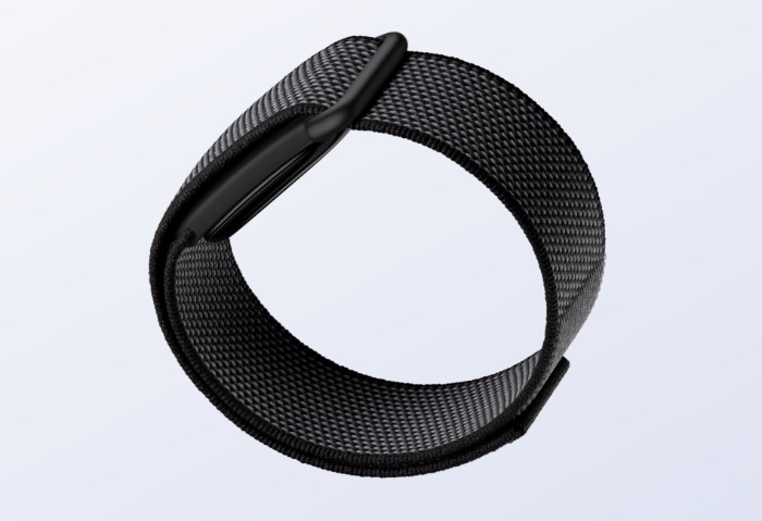 Fitbit Air