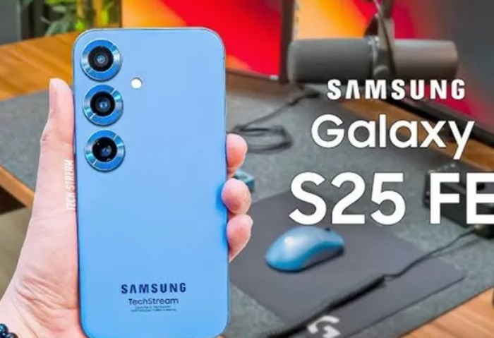 Samsung Galaxy S25 FE