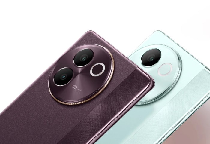 Vivo V30e