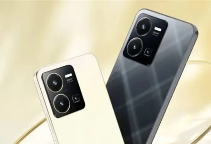 Vivo Y36