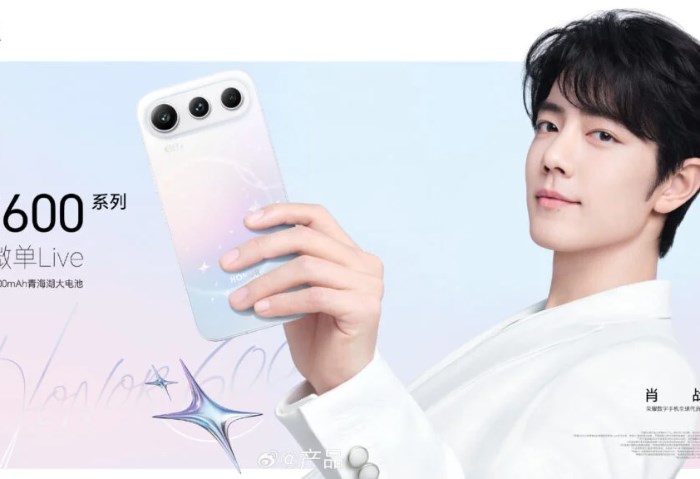 Honor 600 series