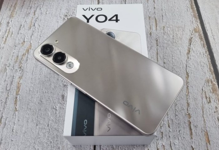 Vivo Y04