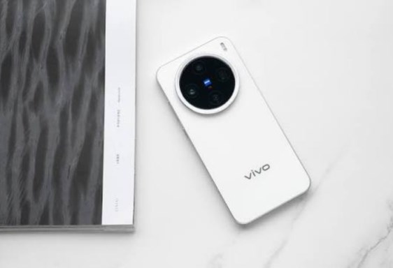 Vivo X200 Pro Mini