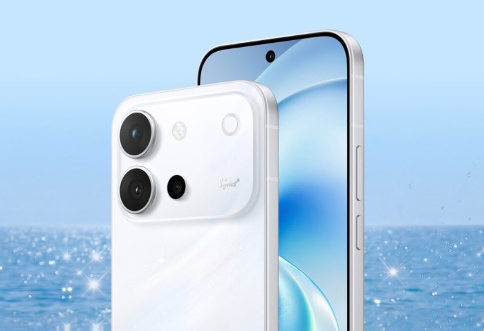 Vivo S60 Vitality Edition