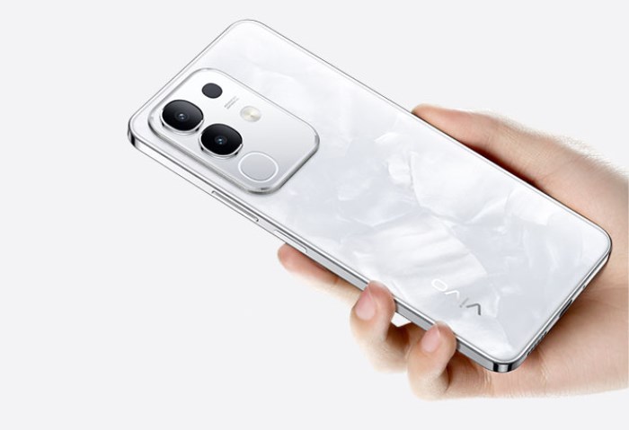 Vivo Y29 Pro
