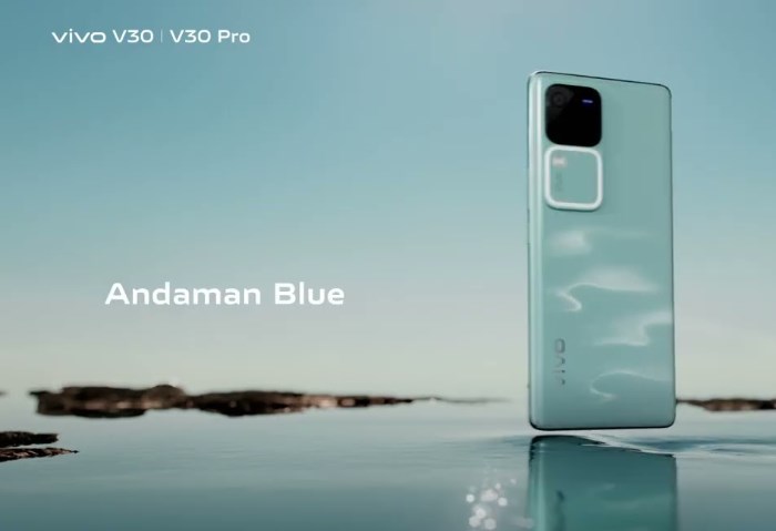 vivo V30