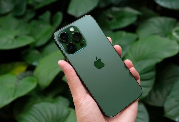 iPhone 13 Pro Max