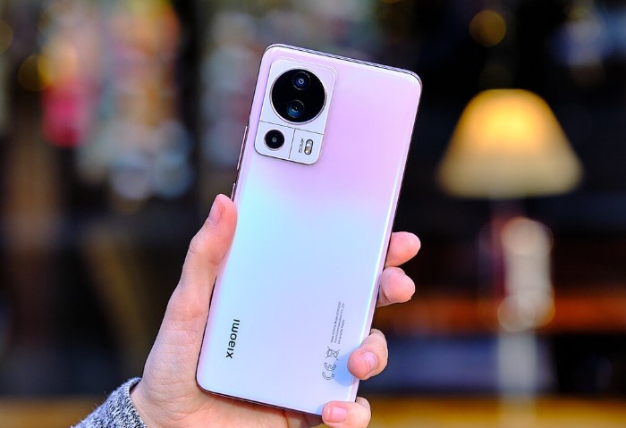 Xiaomi 13 Lite