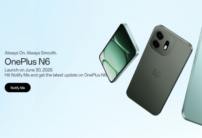 OnePlus N6