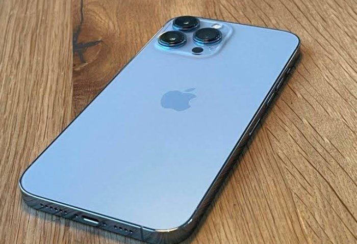 iPhone 13 Pro Max