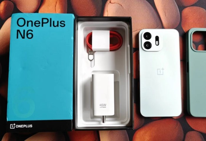 OnePlus N6