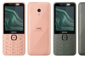 Nokia 250 4G