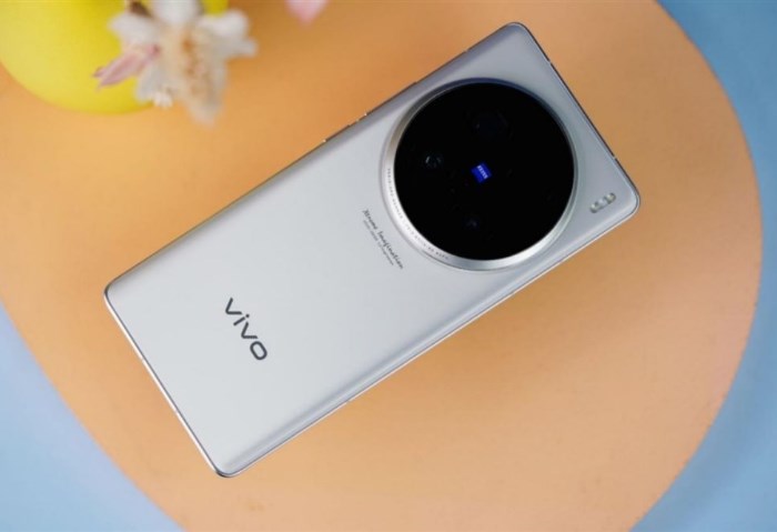 Vivo X100 Ultra
