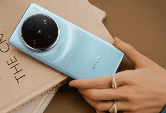 Vivo X100s Pro