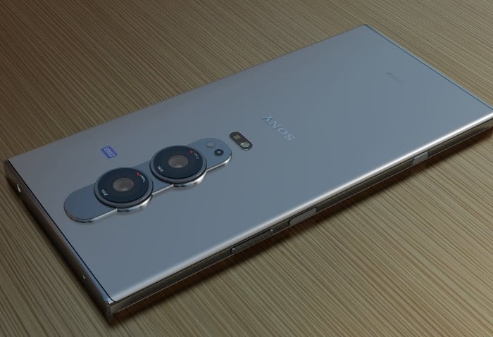 Sony Xperia Pro