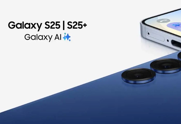 Samsung Galaxy S25+