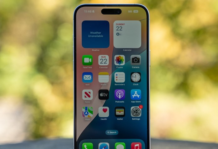 iPhone 16 Plus