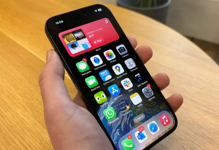 iPhone 15
