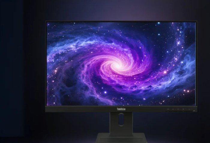 hinkVision E24q-30 monitor