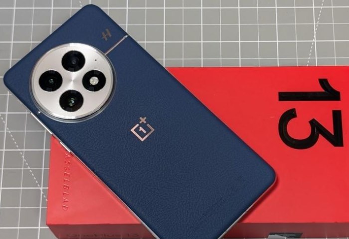 OnePlus 13