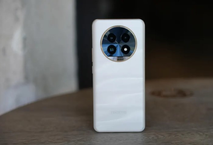 Realme 13 Pro Plus