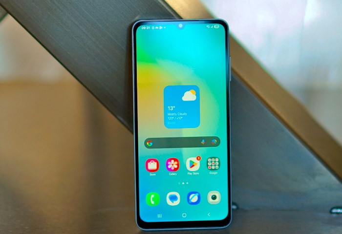 Samsung Galaxy A06