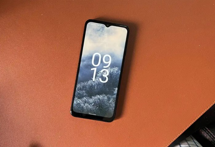 Nokia G60 5G