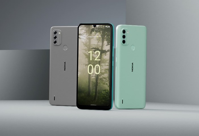 Nokia C31
