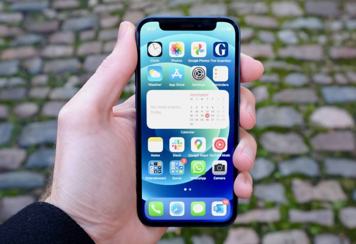 iPhone 12
