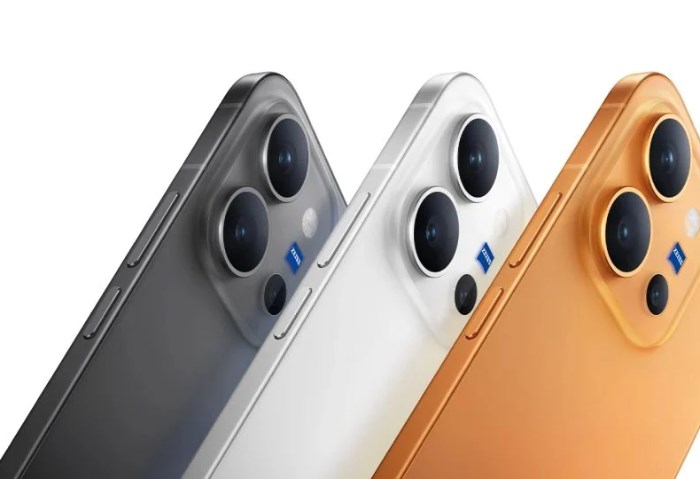 Vivo X300e