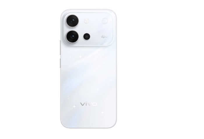 Vivo S2