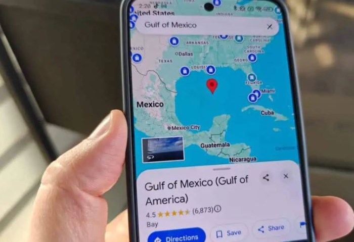 Google Maps