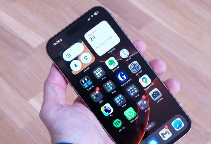 Apple iPhone 16 Pro Max