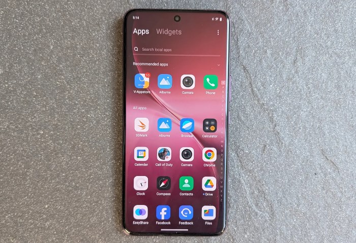 vivo V60