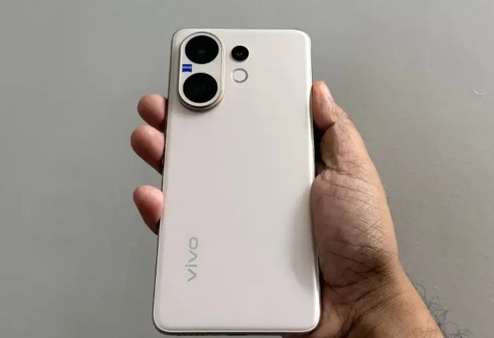 vivo V60