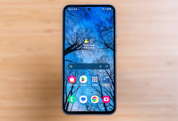 Samsung Galaxy S23 FE