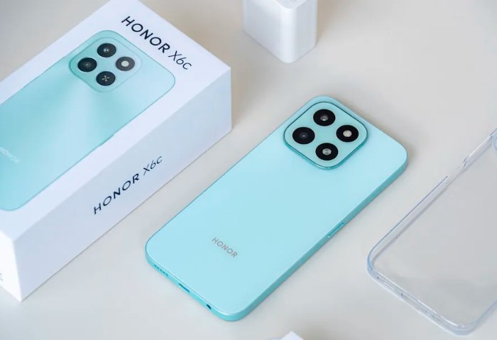 Honor X6c