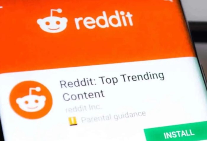 Reddit 